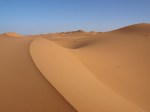 sahara